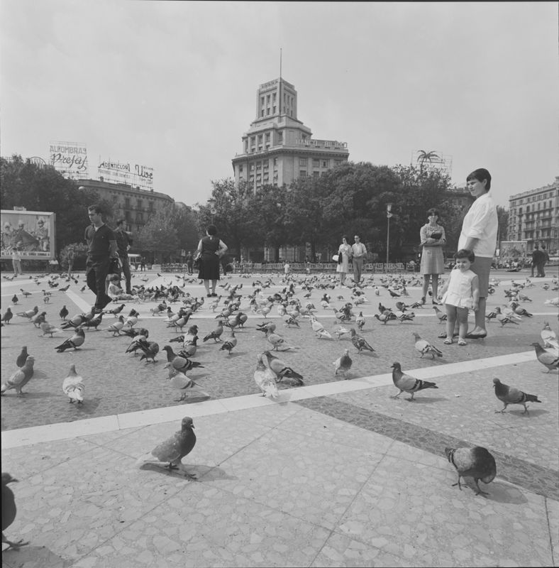 Projecte Definitiu de la Plaça Catalunya