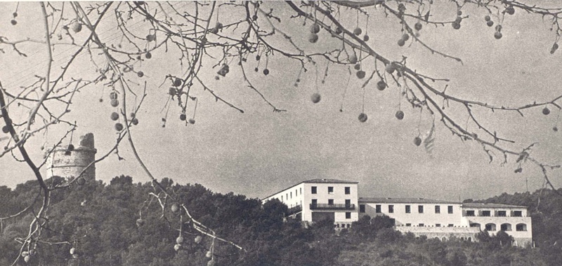 Hotel Rei Jaume