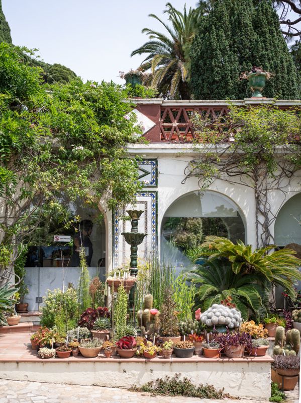 Jardín Botánico Mar i Murtra