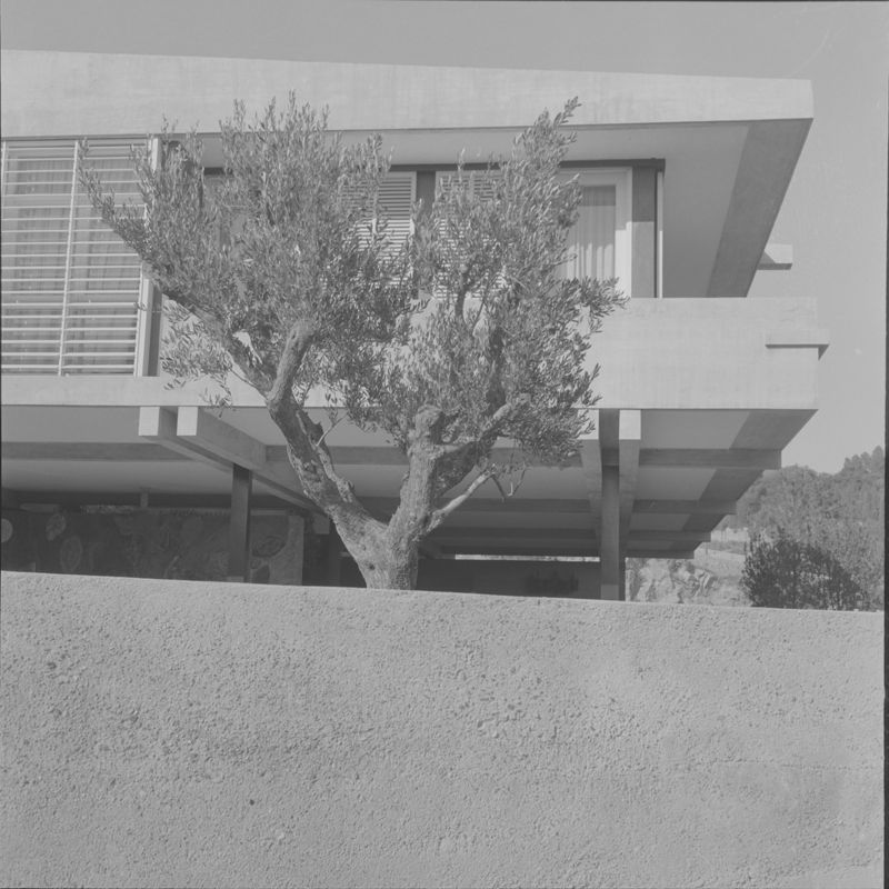 Casa Paniker