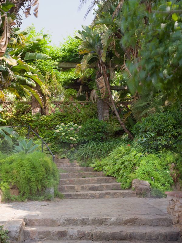 Jardín Botánico Mar i Murtra