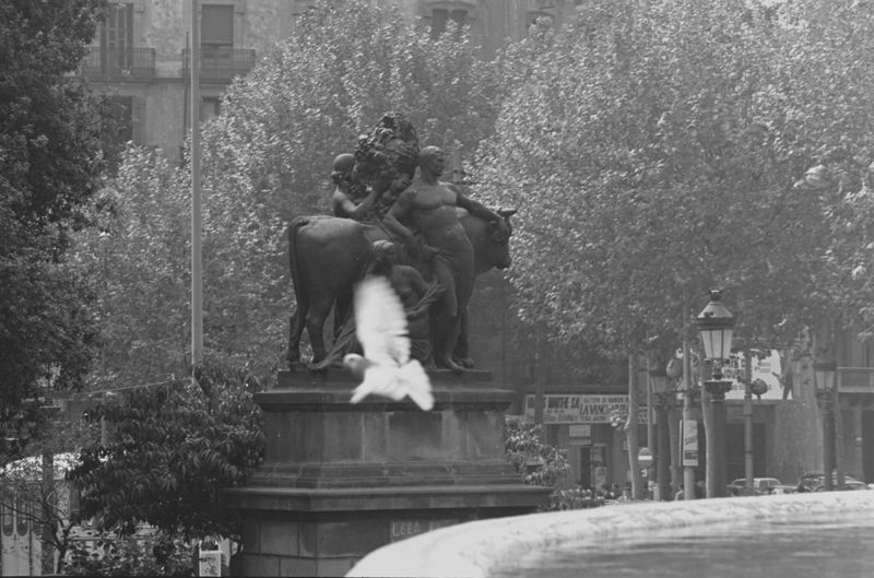 Projecte Definitiu de la Plaça Catalunya