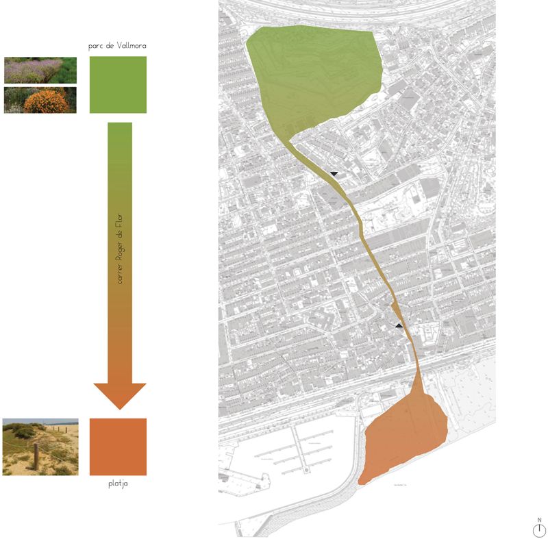 Reurbanització de la Plaça Catalunya i del C. Roger de Flor