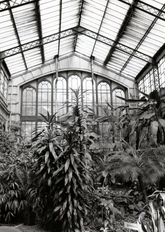 Hivernacle del Parc de la Ciutadella