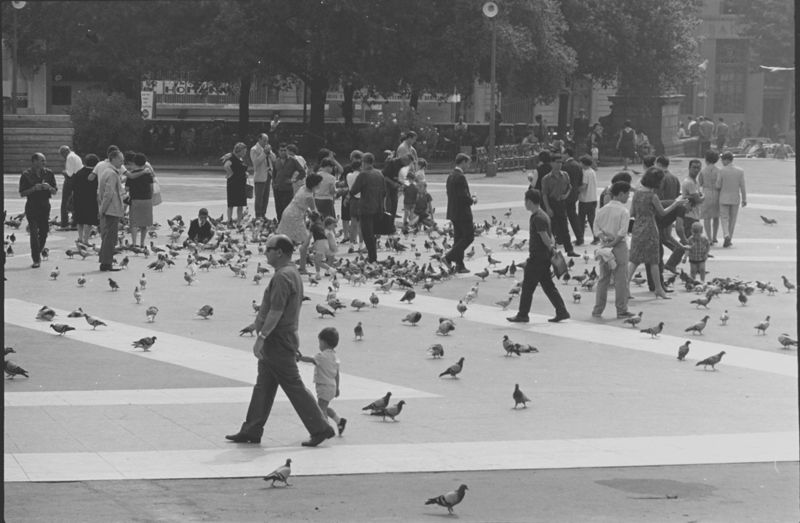 Projecte Definitiu de la Plaça Catalunya