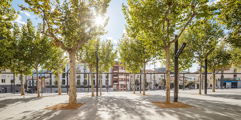 Firal d'Olot