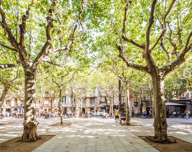 Firal d'Olot