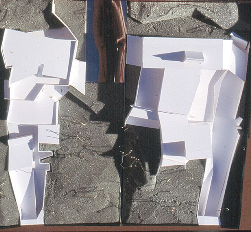 Dos Habitatges per a una Mateixa Família 