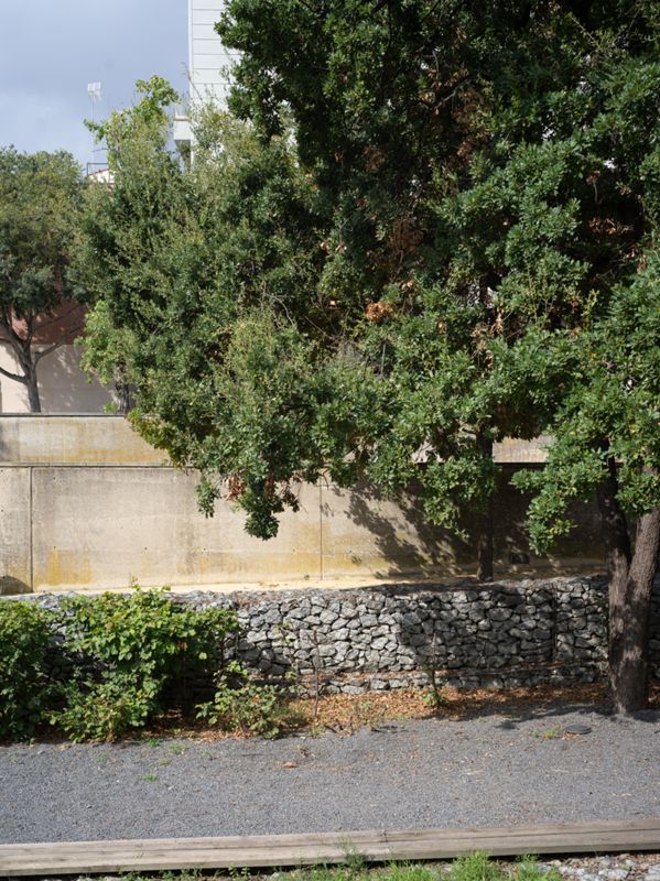 Urbanització Riera Canyadó
