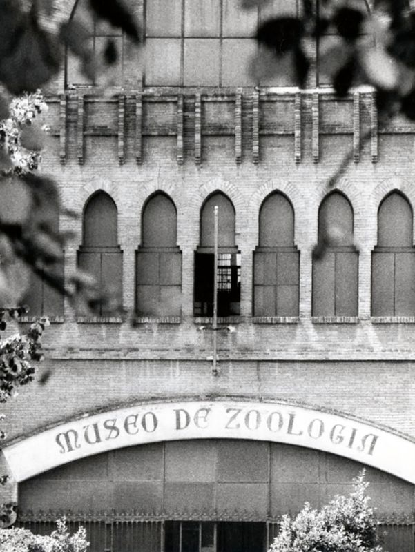 Café-Restaurante de la Exposición Internacional de 1888